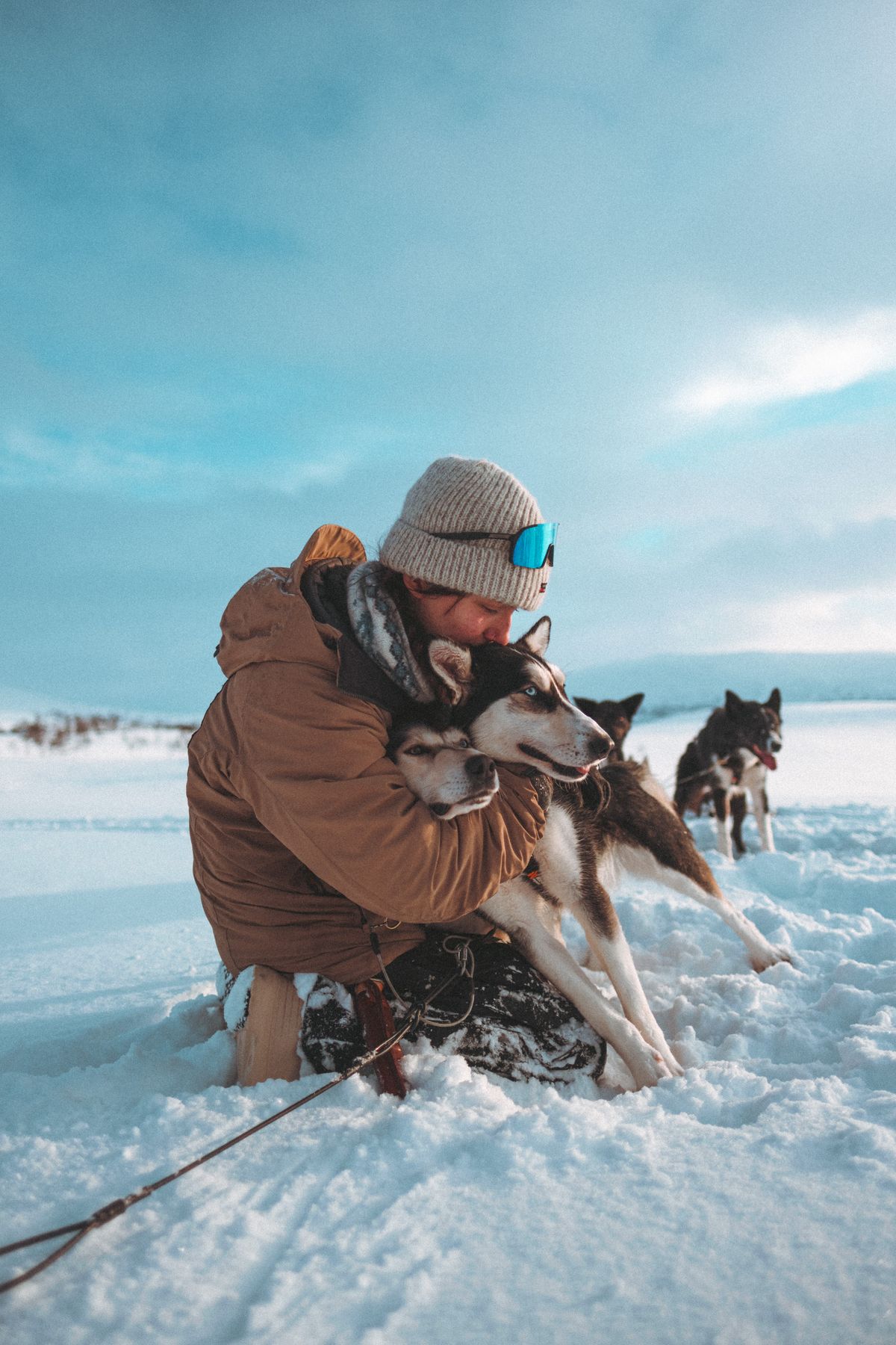 Driving your own dog sled