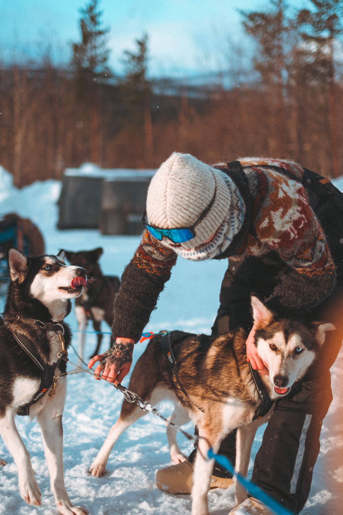 Emília with her dogs